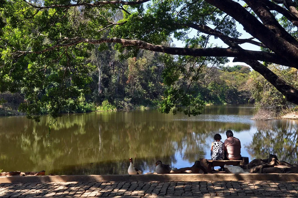 BH em Férias: Parques Municipais com Atividades Gratuitas para Crianças